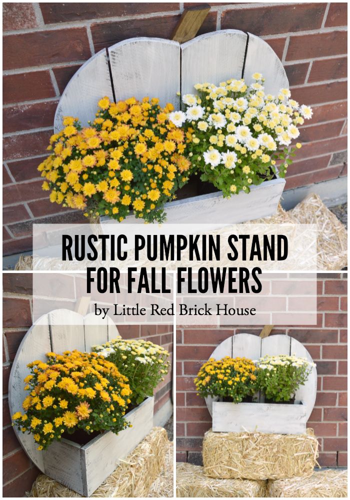 Rustic pumpkin stand for autumn flowers. 