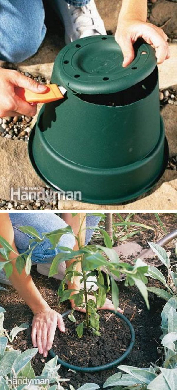     Prevent invasive plants from spreading with a plastic pot 