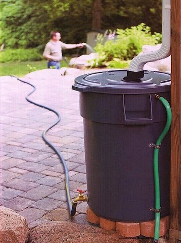 Make your own rain barrel to water the garden with a high-performance trash can 