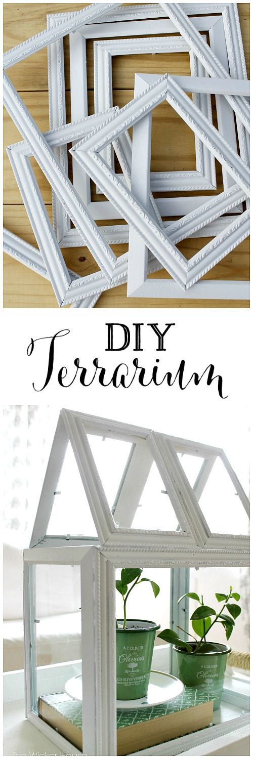 DIY terrarium from dollar store frames. 