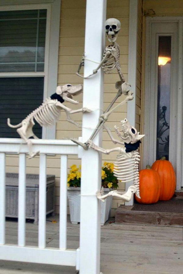 Funny Halloween skeleton dogs with human skeleton. 