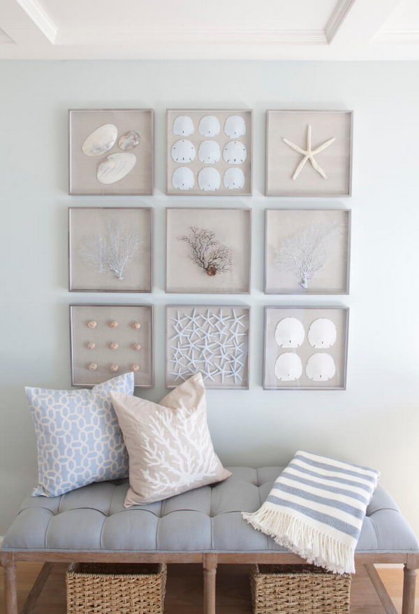 A collection of framed starfish, sand dollars, shells and sea fans for nautical wall art. 
