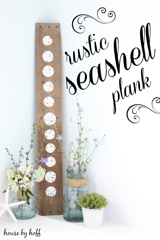 DIY shell plank. 