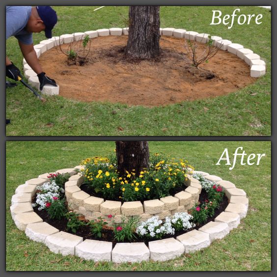Beautify your front yard with a flower bed around the tree. 