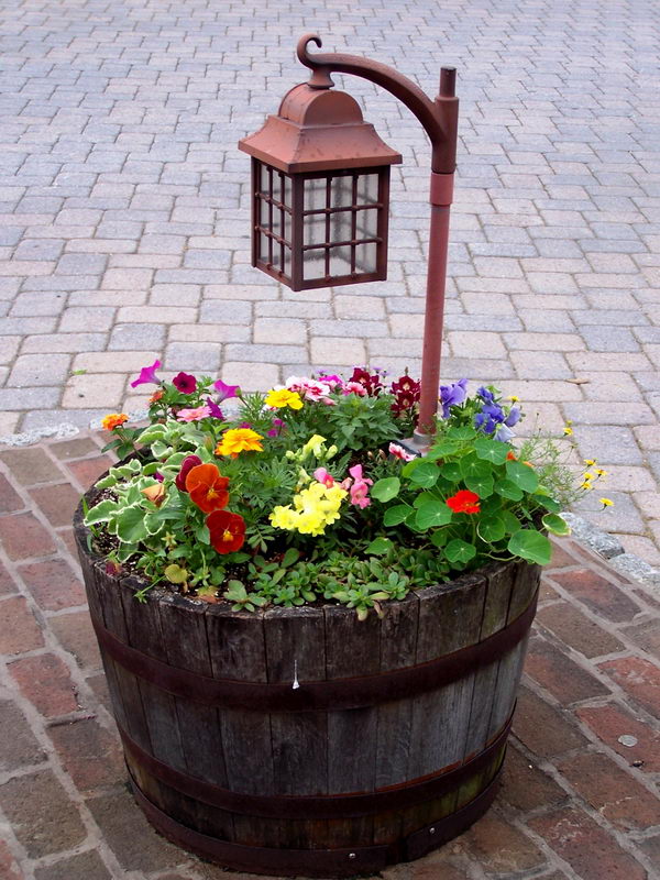 Light up the paths with a wine barrel planter with a lamppost. 