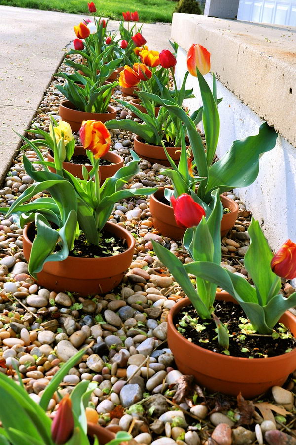 Embellish your exterior decor with pots planted on the border. 