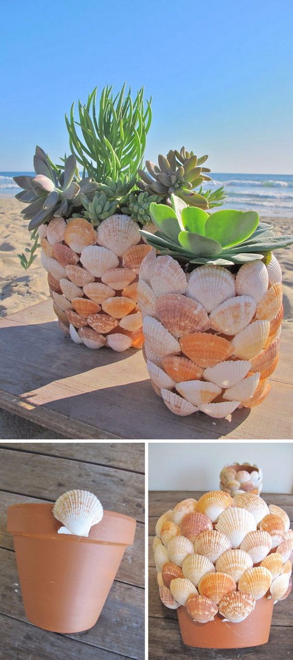 Nautical shell decorated flower pots 