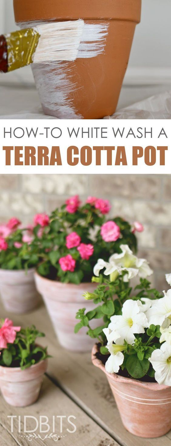 Rustic white washed terracotta pots 