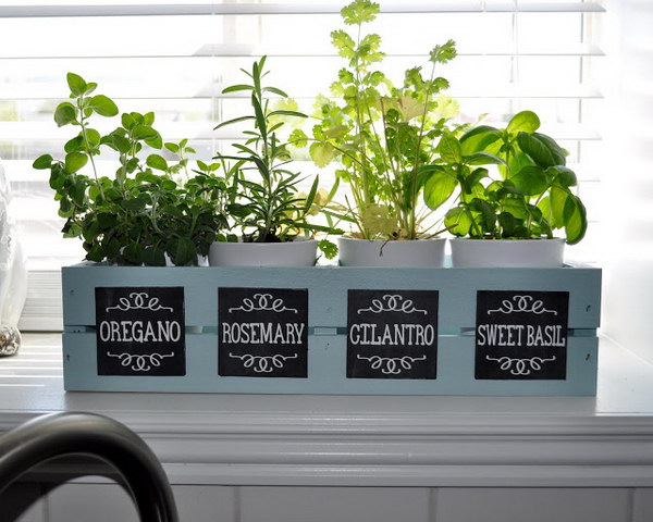 Window box planter with blackboard labels. 