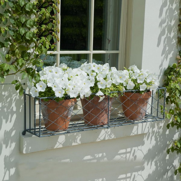 Metal window box with white flowers in terracotta pots. 