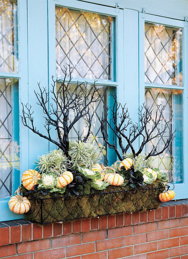 Unusual autumn window box with eerie branches. 