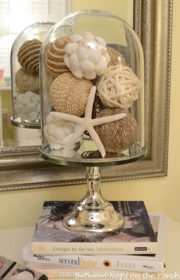 Creative idea to display shells 