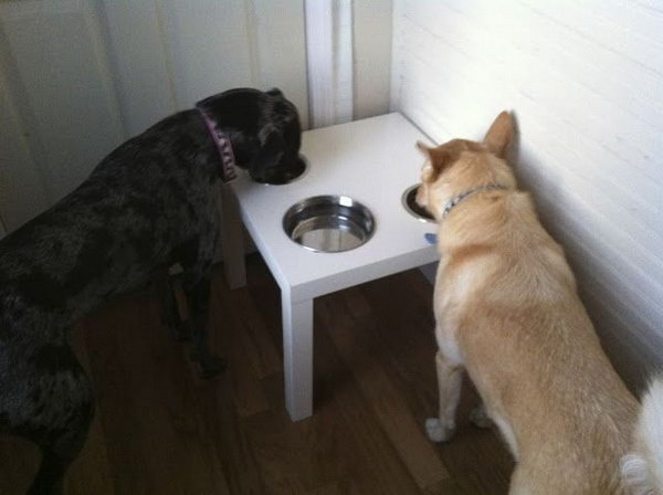 DIY dog dining table. Dogs often slide their bowls over the kitchen floor when eating. You can buy a LACK side table from IKEA and cut the right holes in which our dog's food and water bowls can be placed. It would be much nicer if they stayed in one place. See more