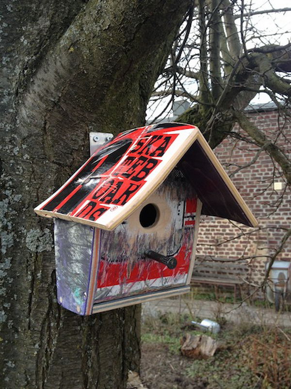     Repurposed Skateboard Birdhouse: Don't forget your cute little birdie when converting your skateboard. How great are these birdhouses made from recycled skateboards. I want something like that in my back yard.