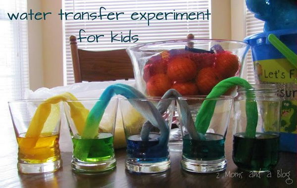     Scientific experiment on paper towel water transfer for children. This is a fun and educational science experiment and the kids get so much fun science from this wonderful game. But that takes patience ... you will probably have to wait at least three hours for the water to get through the other cups. 
