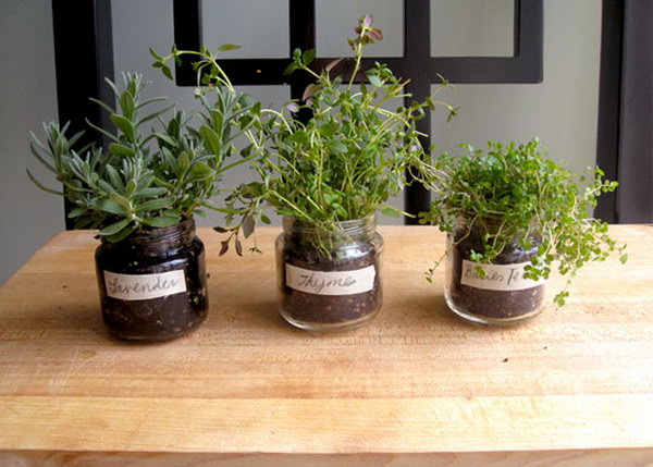 A baby food jar herb garden. Throwing away baby glasses would be a waste. Transfer the seedling to the jars to showcase a fresh spring style for a nice garnish.
