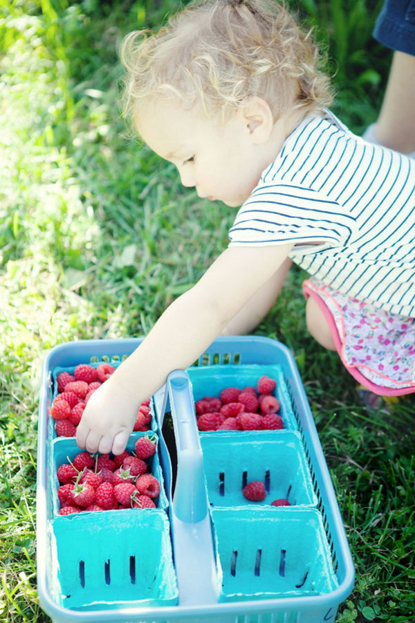 Berry picking. Meet to pick berries when they appear and enjoy the crispy taste of fresh fruits. You can also have fun choosing. It's a fantastic way to enjoy your summer party outdoors.