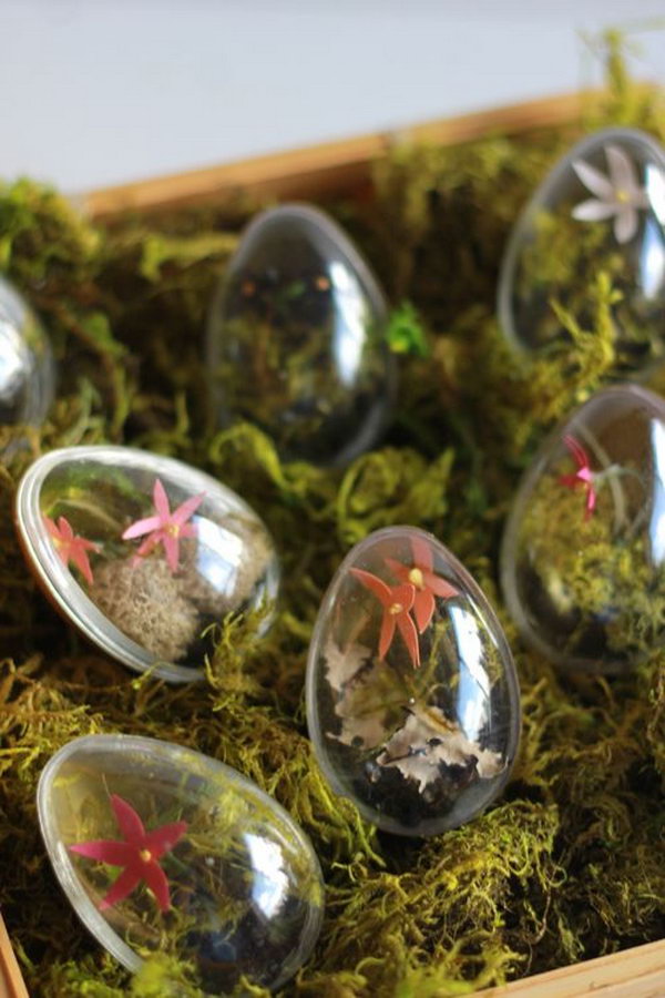 DIY Easter egg terrariums. This Easter egg terrarium would be another cool piece of art full of sparks for your Easter celebration.