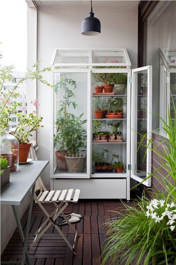 Intelligent and simple balcony garden with cabinet greenhouse. 