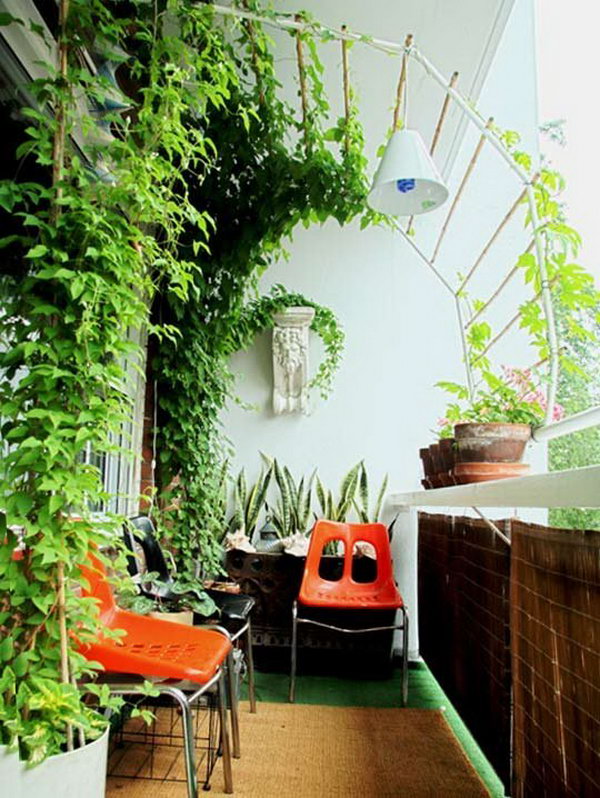 Build a curved canopy on which a vine can grow and create privacy and green spaces in one. 