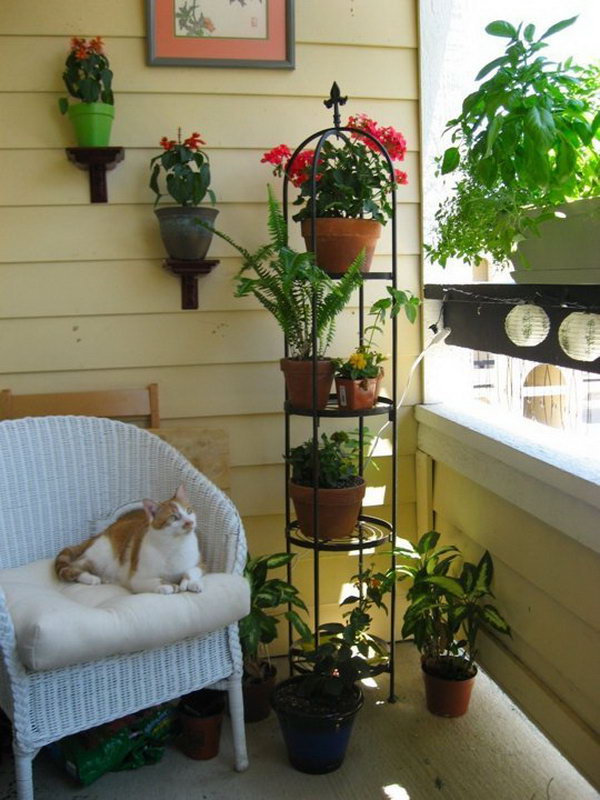 Place the plants on different levels for your small balcony garden. This not only helped to save space, but also maximized solar radiation for the plants. 