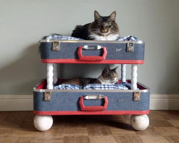 Pet bed from old suitcase,