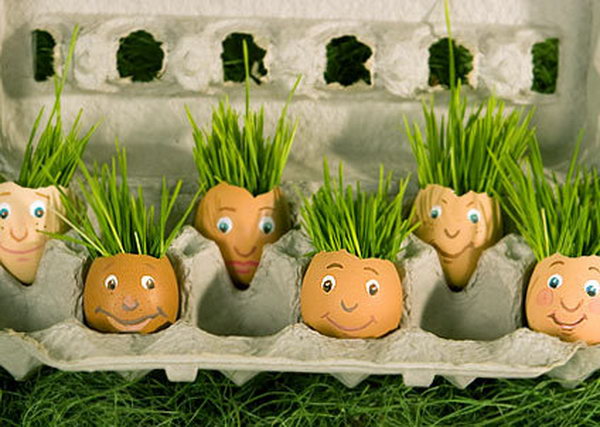 Eggshell planters. These container gardening ideas are a great way to brighten up your surroundings instantly. Make your home unique and interesting in a different way.