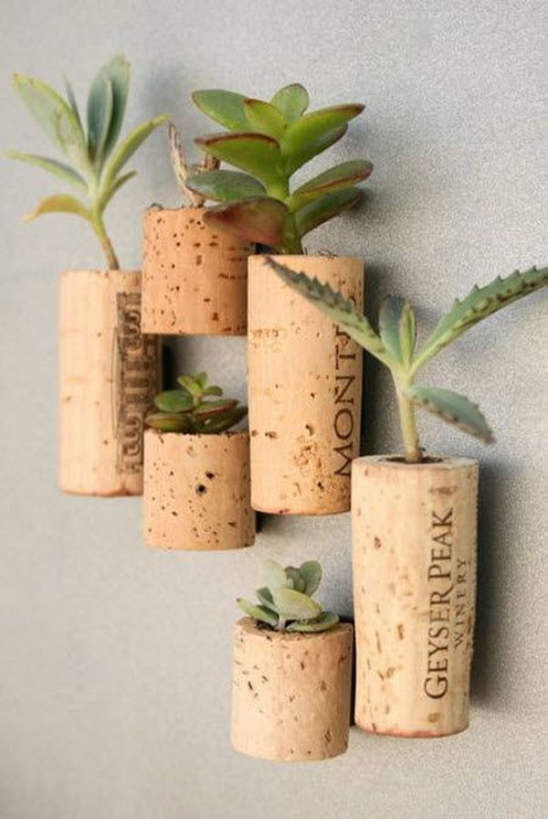 Wine cork planters on the wall. These container gardening ideas are a great way to brighten up your surroundings instantly. Make your home unique and interesting in a different way.