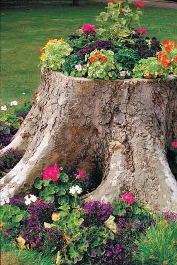 Tree stump planter. These container gardening ideas are a great way to brighten up your surroundings instantly. Make your home unique and interesting in a different way.