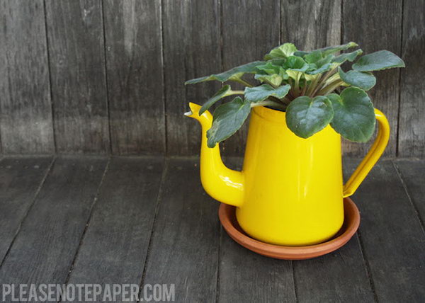DIY upcycled jug planter. These container gardening ideas are a great way to brighten up your surroundings instantly. Make your home unique and interesting in a different way.