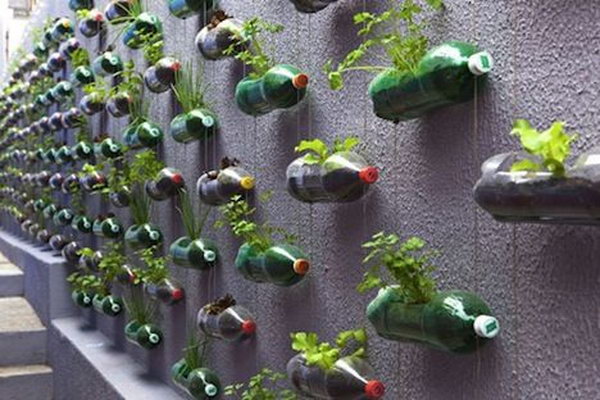Vertical garden with recycled pet bottles. It allows plants to extend upwards instead of growing along the surface of the garden. Doesn't take up much space and looks so beautiful at the same time.