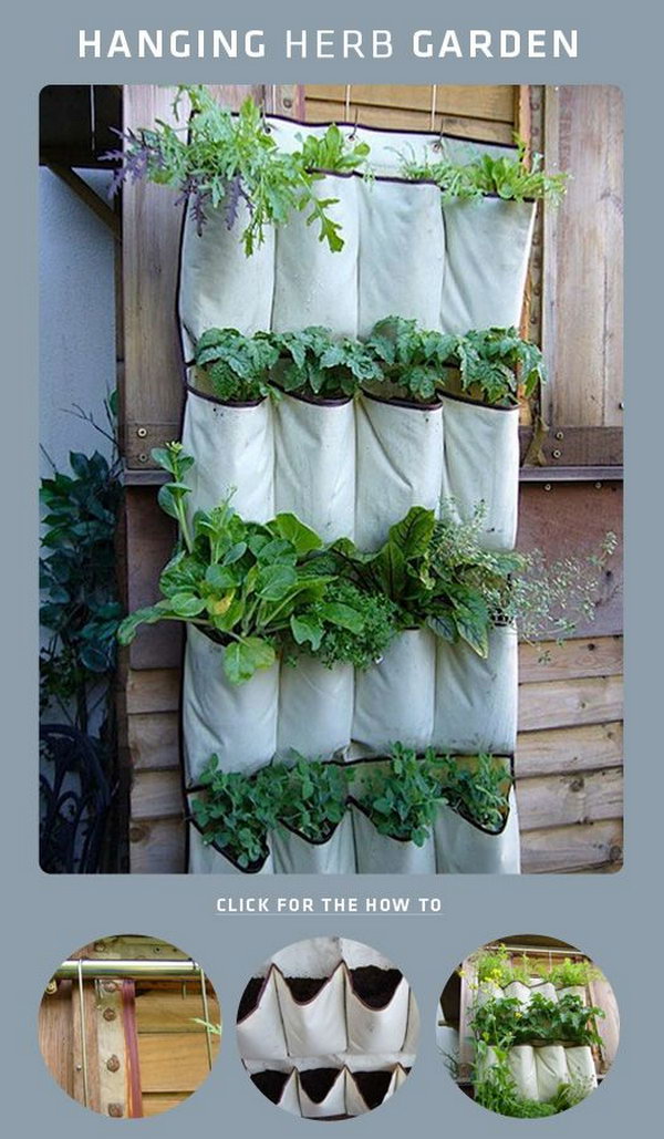DIY shoe rack hanging on herb garden. It allows plants to extend upwards instead of growing along the surface of the garden. Doesn't take up much space and looks so beautiful at the same time.