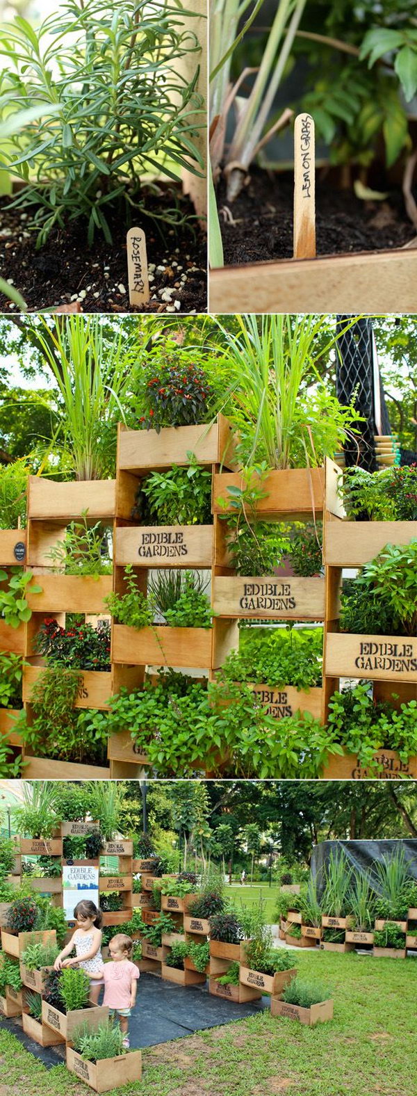 Vertical garden made of old boxes. It allows plants to extend upwards instead of growing along the surface of the garden. Doesn't take up much space and looks so beautiful at the same time.