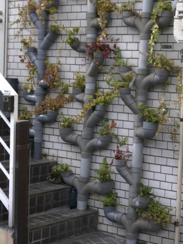 Vertical gardening from reusable pipes. It allows plants to extend upwards instead of growing along the surface of the garden. Doesn't take up much space and looks so beautiful at the same time.
