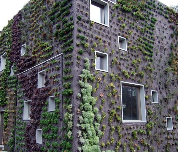 Living walls in the Netherlands. It allows plants to extend upwards instead of growing along the surface of the garden. Doesn't take up much space and looks so beautiful at the same time.