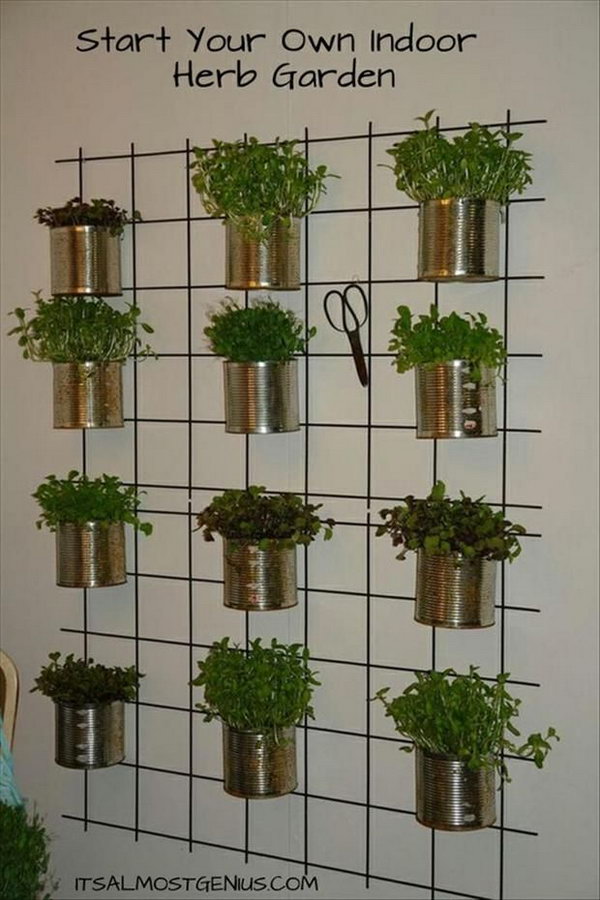 Indoor herb garden. It allows plants to extend upwards instead of growing along the surface of the garden. Doesn't take up much space and looks so beautiful at the same time.