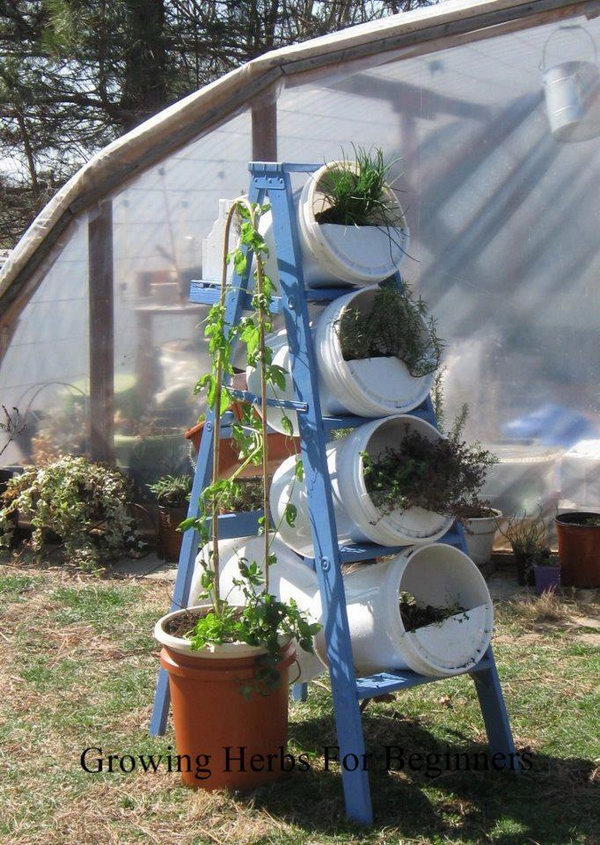 Bucket and ladder make vertical garden. It allows plants to extend upwards instead of growing along the surface of the garden. Doesn't take up much space and looks so beautiful at the same time.