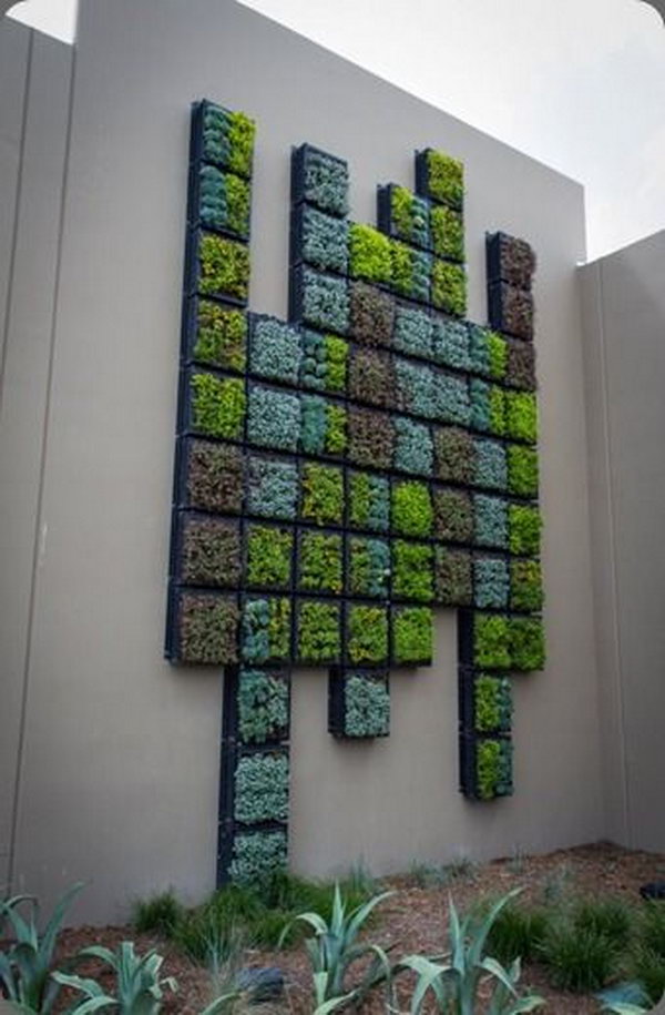 Wall made of succulents. It allows plants to extend upwards instead of growing along the surface of the garden. Doesn't take up much space and looks so beautiful at the same time.