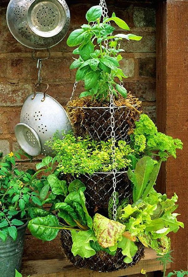 Hanging basket. It allows plants to extend upwards instead of growing along the surface of the garden. Doesn't take up much space and looks so beautiful at the same time.