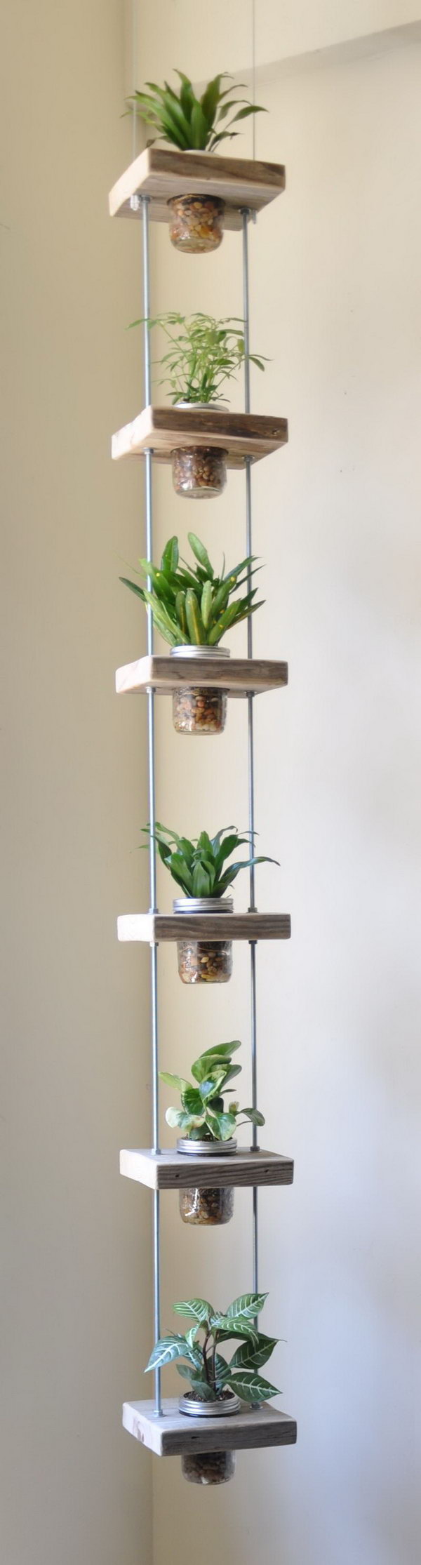 Vertical herb garden made of salvaged wood and mason jars.