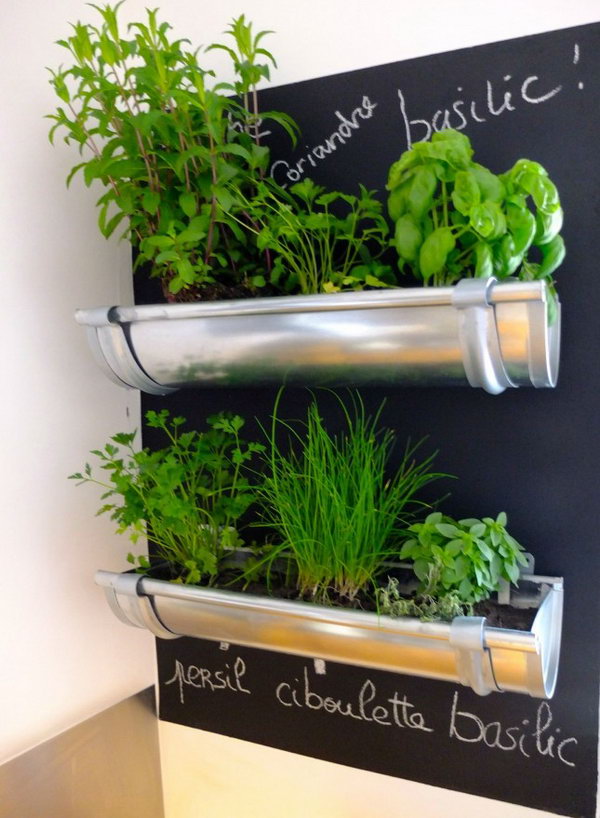 Converted gutters for herbs in the kitchen.
