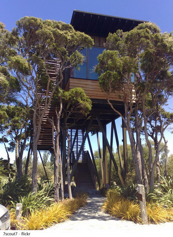 Hapuku Lodge, Kaikoura, New Zealand. Hapuku Lodge is located just over 10 km north of the eco-tourist town of Kaikoura and has five luxurious tree houses, three luxury suites, a unique luxury room with a view of the pool and a room with a bedroom.