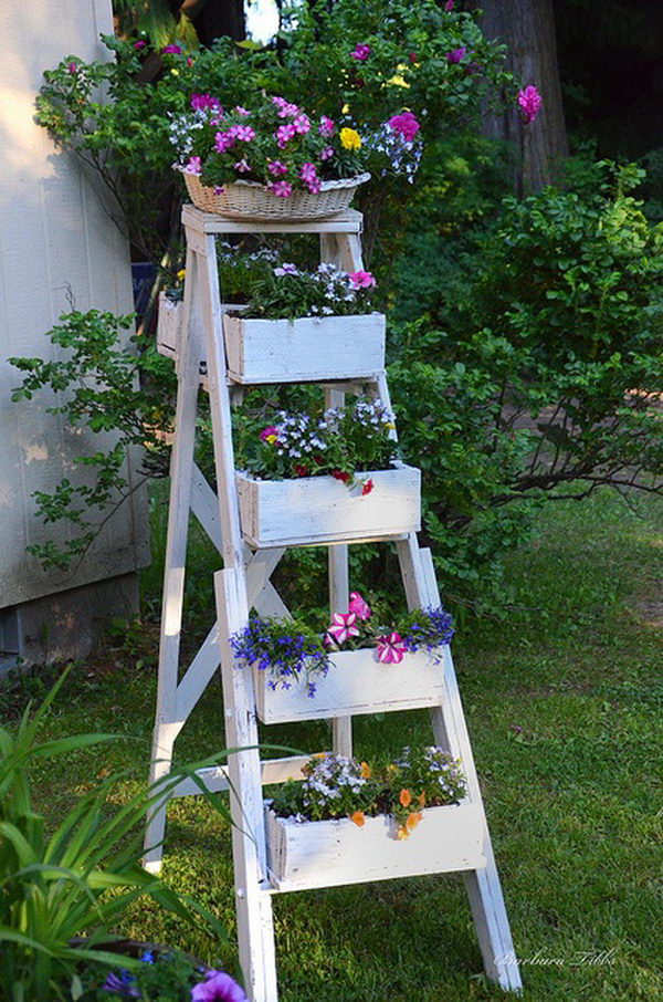 Creative ladder decorating the idea.