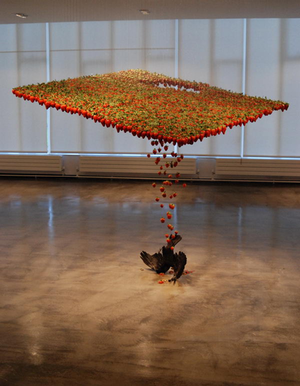 Fluid art installation. Made with strawberries, taxidermy crow, fish hook, nylon and was exhibited in the building with paint, Galerie Nord, Newcastle and consumers, Palais de Tokyo, Paris. 