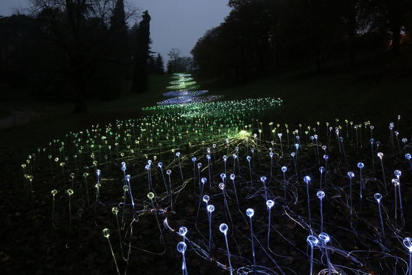 Light field. A large format lighting installation by lighting designer Bruce Munro. The light field consists of over 15,000 separate lights. These are "planted" in a variety of environments. The sculpture slowly changes color and creates a shimmering light field.