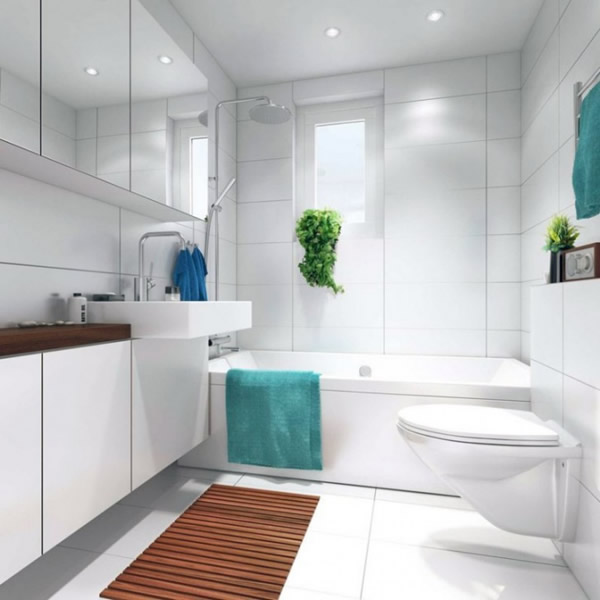 White small bathroom decorating the layout