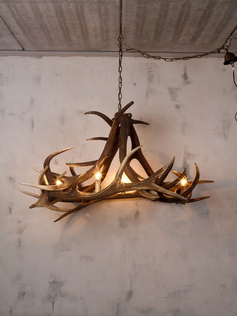 Stag Horn Chandelier