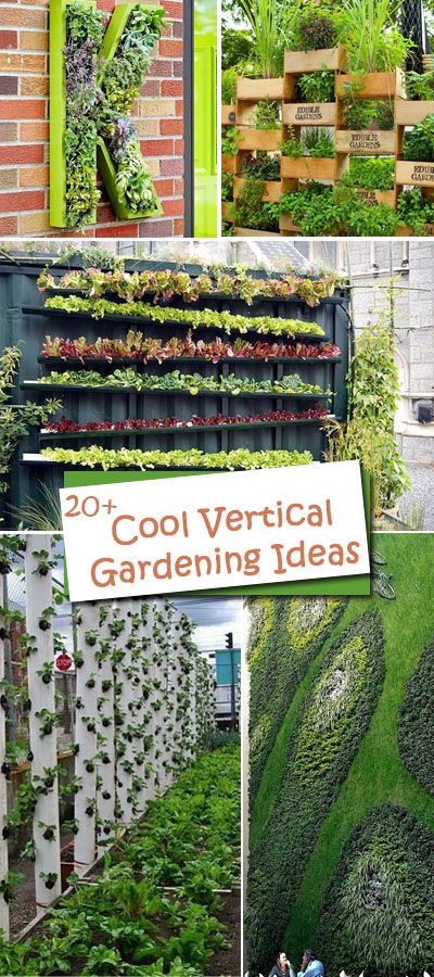 All of these cool vertical garden ideas allow plants to extend up instead of growing along the surface of the garden. 