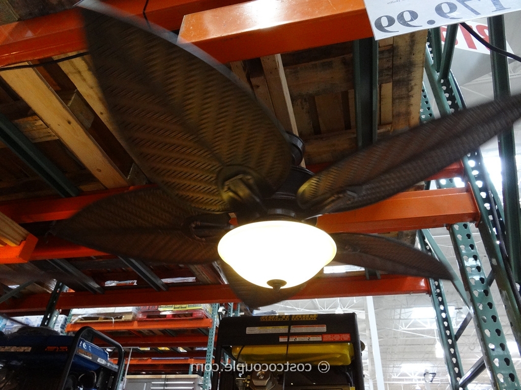Outdoor Ceiling Fans At Costco