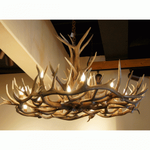 Elk Antler Chandeliers and Mule Deer Antler Chandelie